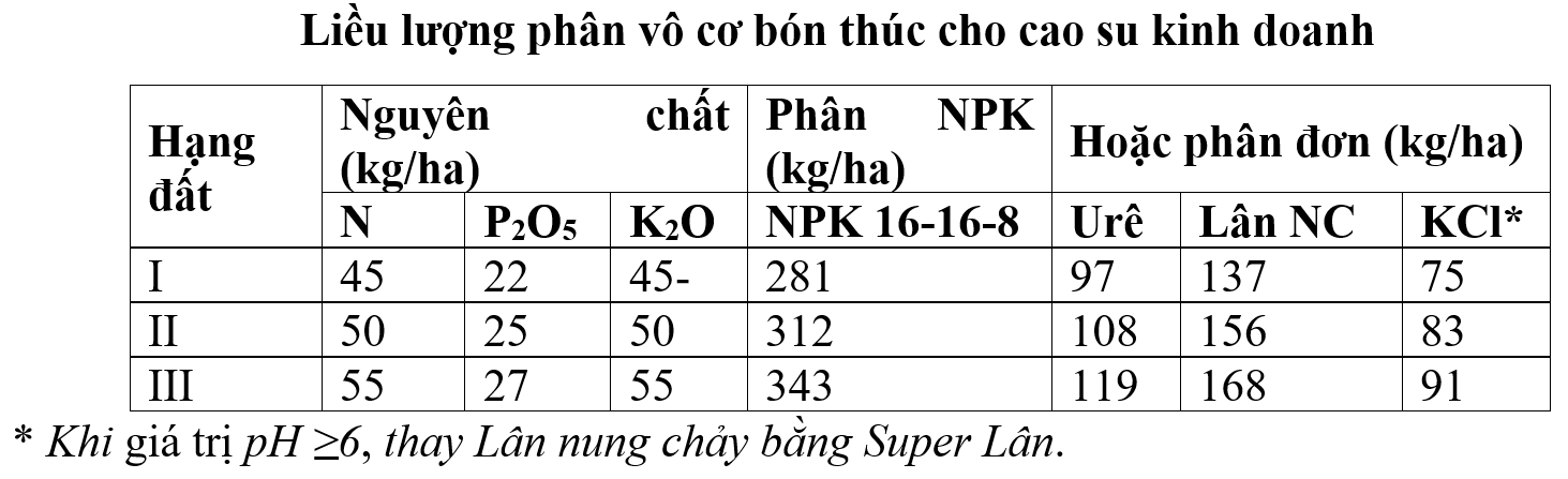 bón phân kinh doanh_1676532606.png